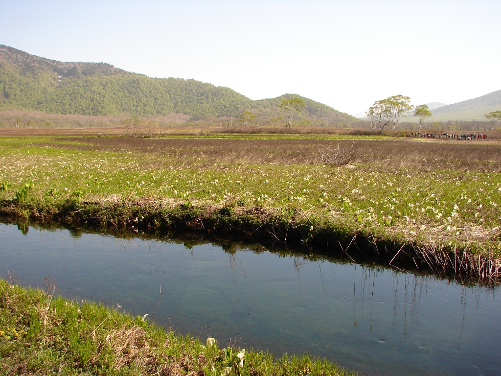 水無月の尾瀬ヶ原_b0011185_12494744.jpg