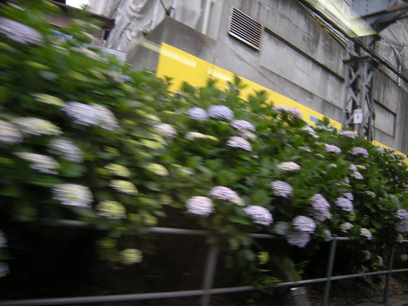 f0063887_2315562.jpg