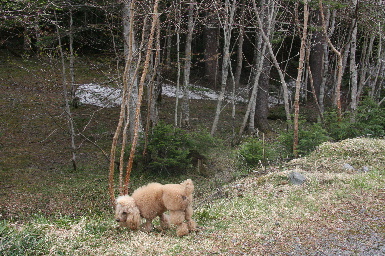 マイナスイオンでござる　-2008年06月02日(月)-_f0118293_2084374.jpg