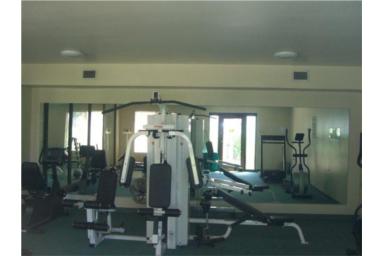e0064298_14461470.jpg