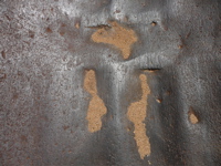 f0146198_143445.jpg