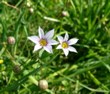 f0146198_15144523.jpg