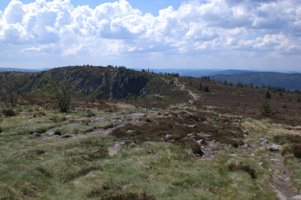 b0036106_25545.jpg