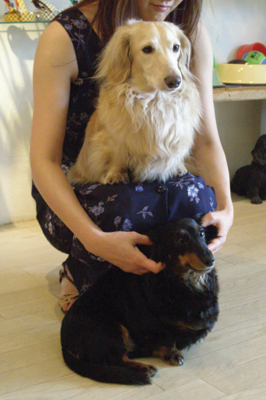 e0147508_1247132.jpg