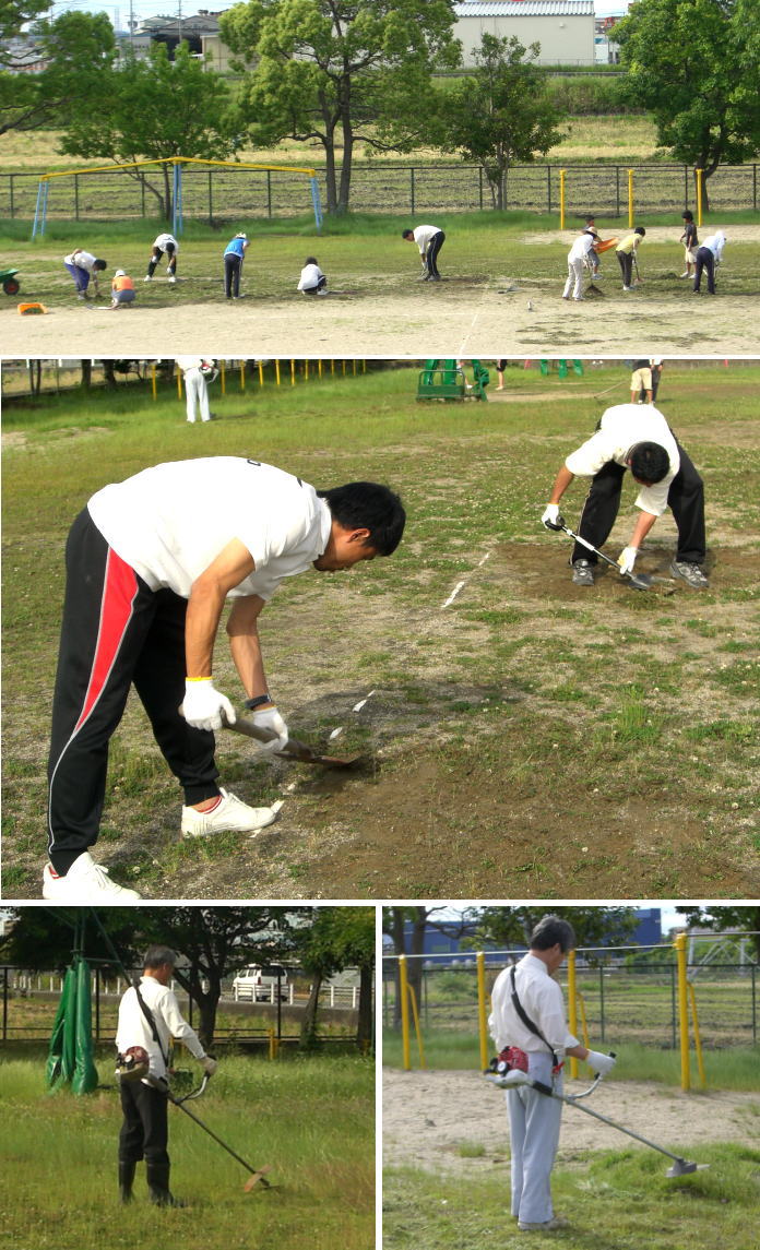 職員除草作業。暴力的な勢いで増殖するシロツメグサと戦っています。_b0022310_17133975.jpg