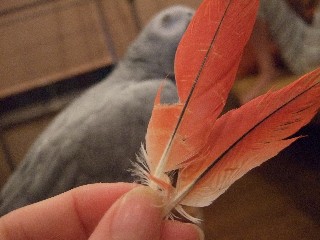 c0133013_1045573.jpg