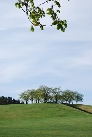 f0003919_1335454.jpg