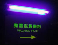 c0148623_0383478.jpg