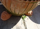 f0170524_15491072.jpg
