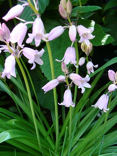f0170524_15513360.jpg