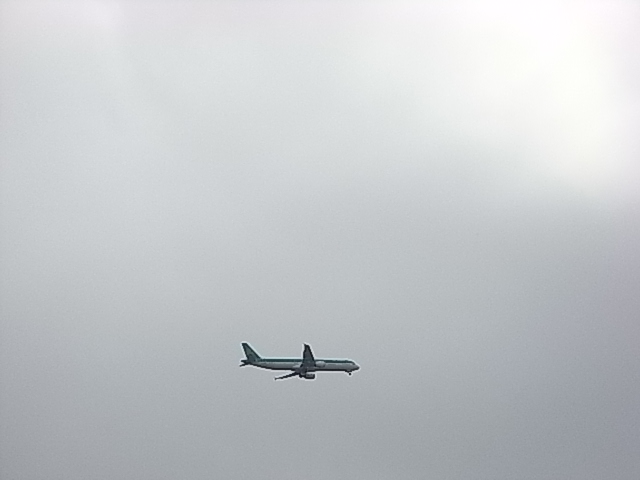 d0104926_74065.jpg