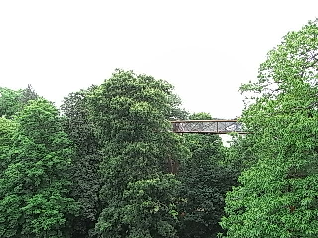 d0104926_745728.jpg