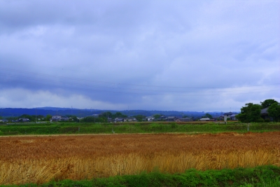 b0117837_1625956.jpg