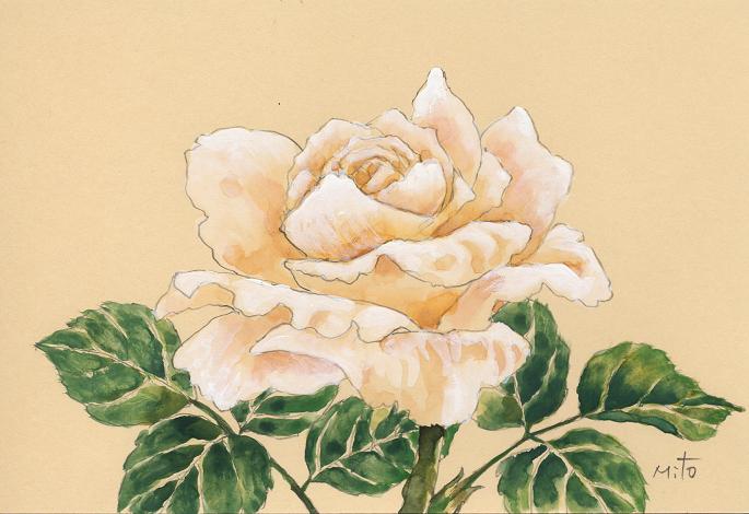 白薔薇 水彩画 油絵画家 永月水人のａｒｔ ｌｉｆｅ