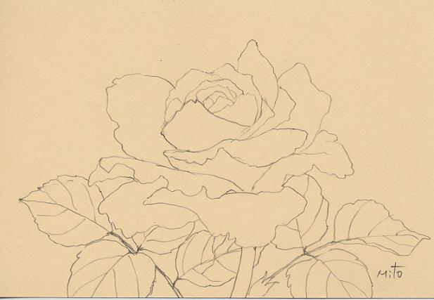 白薔薇 水彩画 油絵画家 永月水人のａｒｔ ｌｉｆｅ