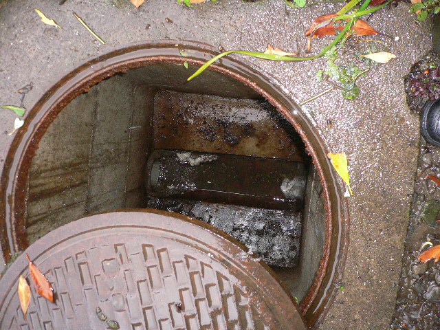 f0070542_7542994.jpg