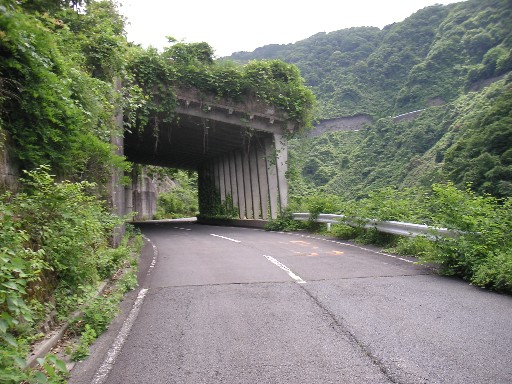 b0088444_2324034.jpg
