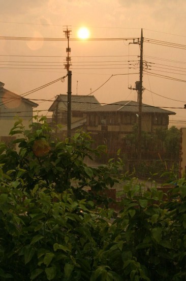 e0126350_2253513.jpg