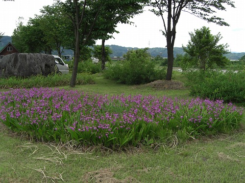 八色の水無川でのグランドボールの大会_a0084753_15411040.jpg