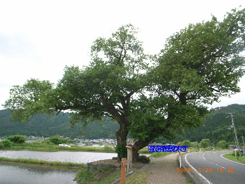 c0050857_2353875.jpg
