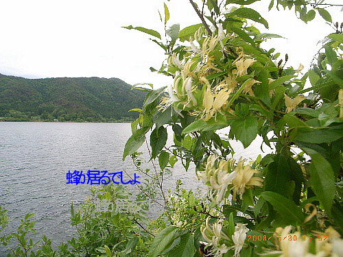 c0050857_23552944.jpg