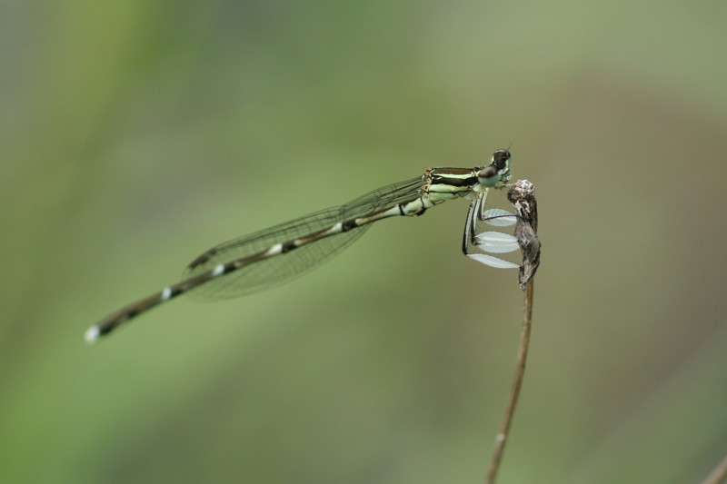 b0088772_1922118.jpg