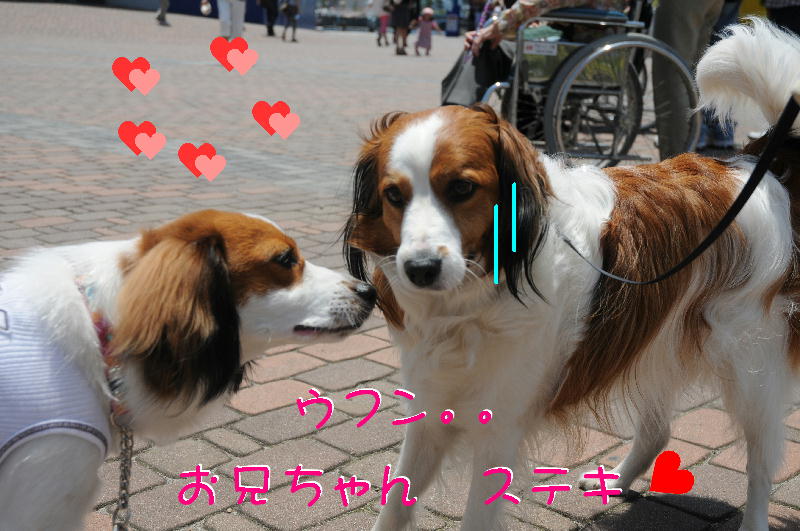 c0075585_8521772.jpg