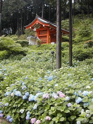 京都への旅_e0135287_14362588.jpg