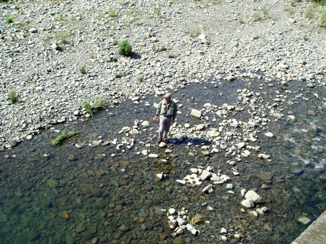c0139388_04159.jpg