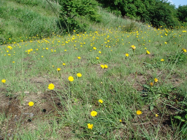 c0139388_05169.jpg