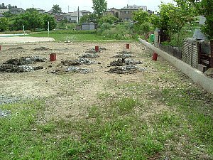 f0125091_227358.jpg