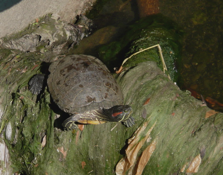 f0146198_1419643.jpg