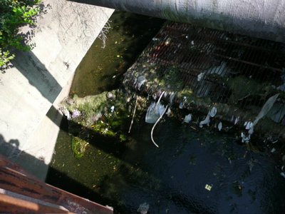 f0146198_1423778.jpg
