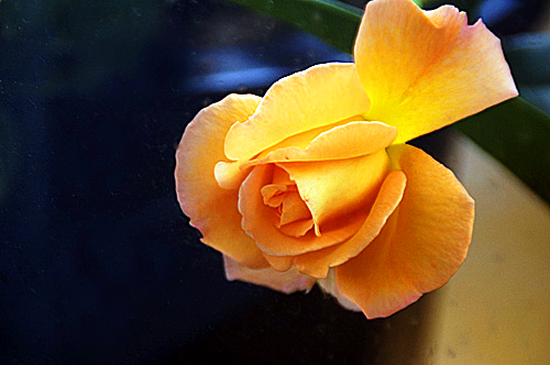 c0061503_22414027.jpg