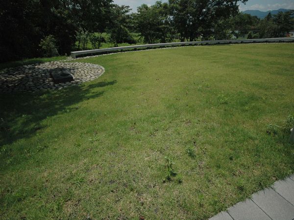 わけあって・・・_f0108604_1736745.jpg