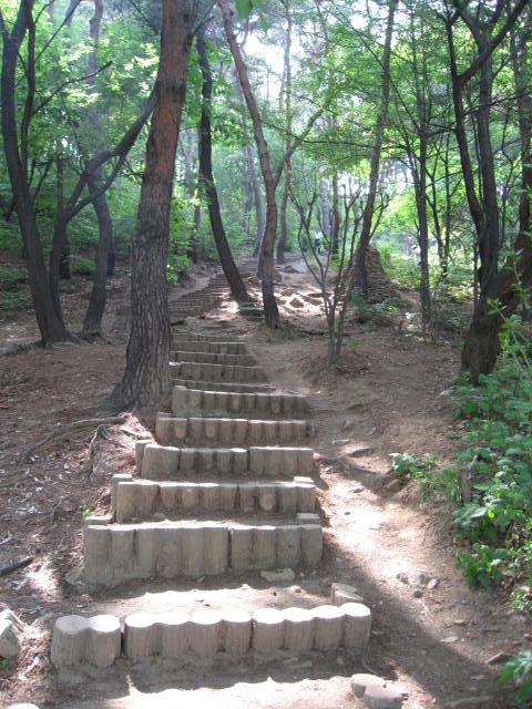 a0100706_23511727.jpg