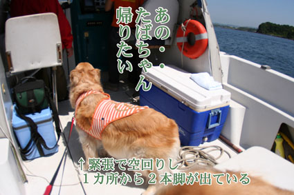 e0072606_2246386.jpg