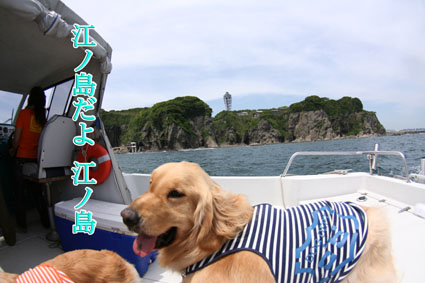 e0072606_22485177.jpg