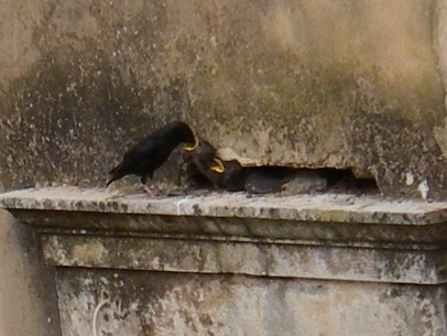 f0133814_8275119.jpg
