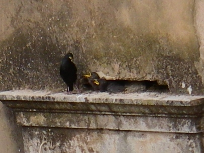 f0133814_8364430.jpg