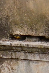 f0133814_841755.jpg