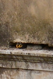 f0133814_84465.jpg
