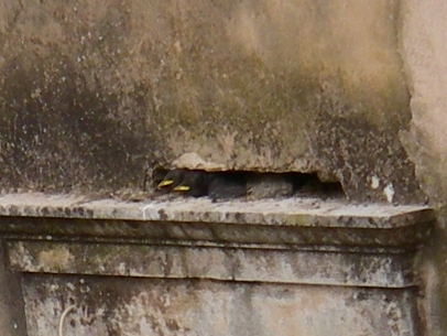 f0133814_8452194.jpg