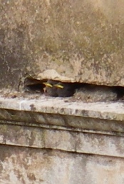 f0133814_881419.jpg