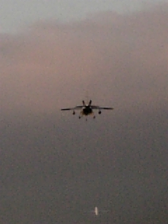 e0145332_2310201.jpg