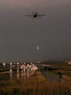 e0145332_2311451.jpg
