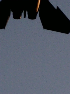 e0145332_23475824.jpg