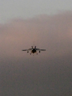 e0145332_2394949.jpg