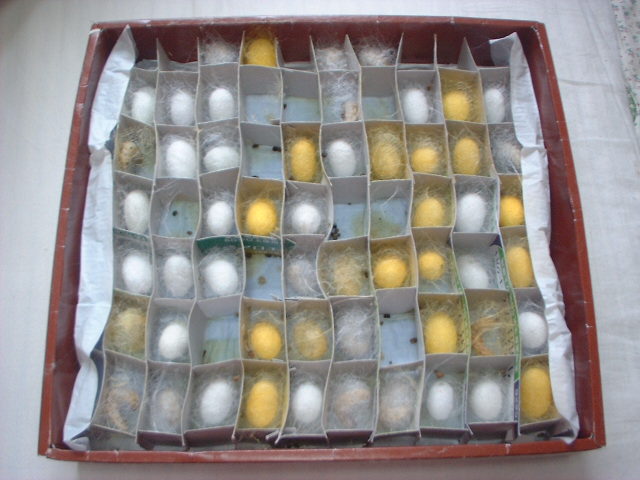 a0061845_1055658.jpg