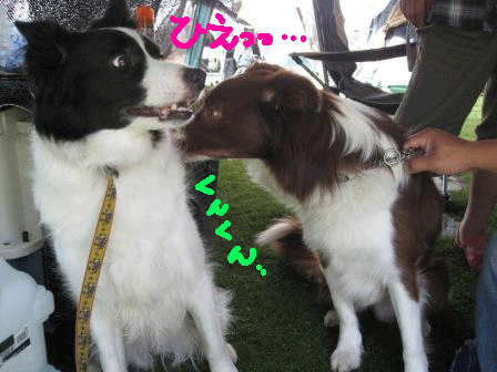 f0175449_2235456.gif